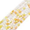 Gradient Color Electroplate Glass Bead Strands X1-GLAA-E042-03B-1