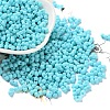 Rubberized Style Glass Seed Beads SEED-Z003-01D-1