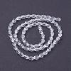 Glass Beads Strands X-GLAA-R024-6x4mm-12-2