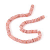1 Strand Natural Freshwater Shell Beads Strands SHEL-TA0001-35B-3