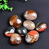 Natural Ocean Jasper Oval Palm Stone Reiki Polished Healing Pocket Worry Stone Crystal for Anxiety Stress Relief Therapy PW-WGFDB78-01-1