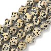 Natural Dalmatian Jasper Beads Strands G-C267-B21-2