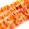 Natural Gemstone Beads Strands G-K202-12-1