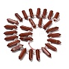 Natural Red Jasper Double Terminated Point Beads Strands G-H069-A01-01-2