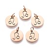 304 Stainless Steel Charms STAS-Q201-T445-5R-1