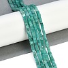 Natural Amazonite Beads Strands G-B129-A08-01-2