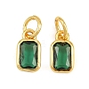Brass Pave Cubic Zirconia Charms CU-CBA3D67-12G-2