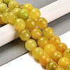 Natural Agate Beads Strands G-L595-A01-01G-1