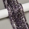 Natural Amethyst Beads Strands G-M445-6mm-01E-1