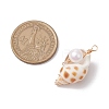 Natural Shell Pendants PALLOY-JF03226-3