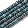Natural Apatite Beads Strands G-Q046-A01-01-2