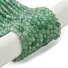 Natural Green Strawberry Quartz Beads Strands X-G-Z034-A02-03-1