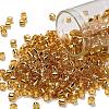 TOHO 6/0 Round Beads SEED-TR06-0022-1