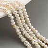 Natural Cultured Freshwater Pearl Beads Strands PEAR-C003-32A-2