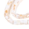 Natural Freshwater Shell Beads Strands SHEL-N027-09A-3