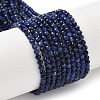 Natural Sodalite Beads Strands G-L622-C04-3mm-2