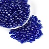 Transparent Glass Seed Beads SEED-N007-33B-11-1