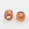 8/0 Glass Seed Beads SEED-US0003-3mm-53-2