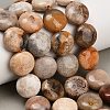 Natural Fossil Coral Beads Strands GG-CBA362F-02-1