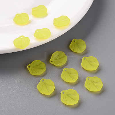 Transparent Frosted Acrylic Pendants MACR-S371-02A-717-1
