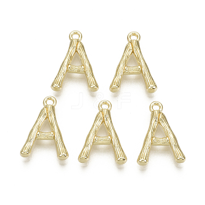 Alloy Pendants PALLOY-S137-001A-NR-1