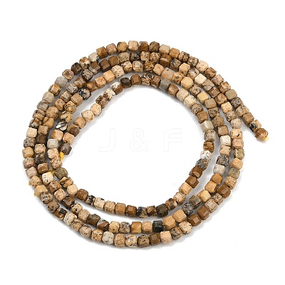 Natural Picture Jasper Beads Strands G-P457-B01-52-1