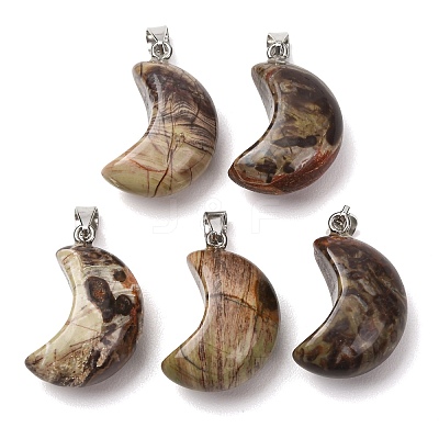 Natural Crazy Agate Pendants G-F820-02L-10-1