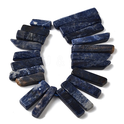 Natural Sodalite Beads Strands G-S386-D19-1