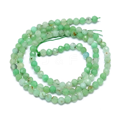 Natural Chrysoprase Beads Strands G-G106-C01-02-1