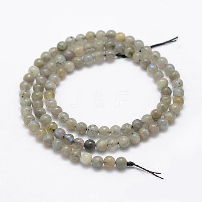Natural Labradorite Beads Strands G-P322-29-4mm-1