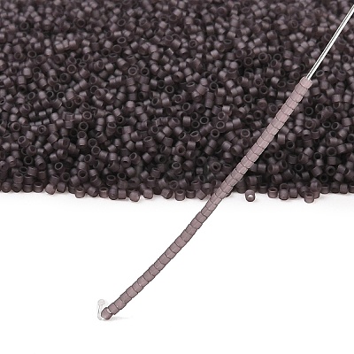 MIYUKI Delica Beads LS-X-SEED-J020-DB2405-1