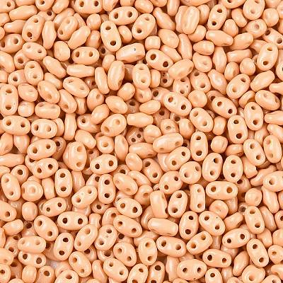 Baking Paint Glass Seed Beads SEED-T006-03E-1