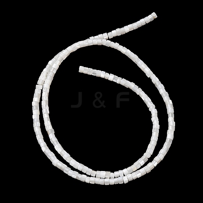 Natural Freshwater Shell Beads Strands SHEL-K006-72C-1