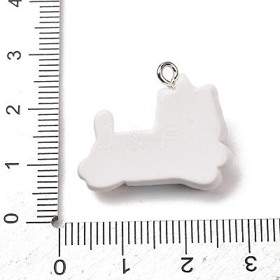 Opaque Resin Pendants RE-CBA5B90-04A-1