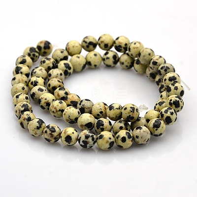 Round Natural Dalmatian Jasper Beads Strands G-N0120-23-6mm-1