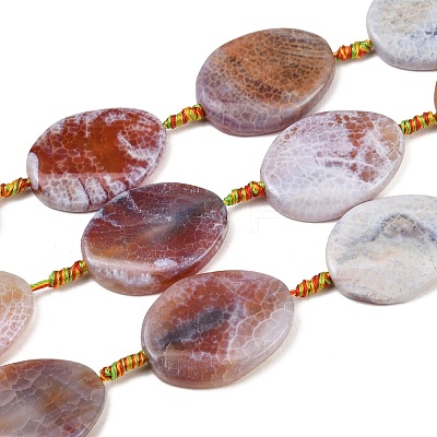 Natural Fire Crackle Agate Beads Strands G-P605-L03-01D-1