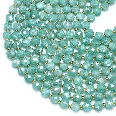 Natural Amazonite Beads Strands G-K389-B42-01-1