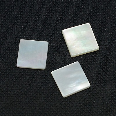 White Shell Cabochons SSHEL-I007-11-1