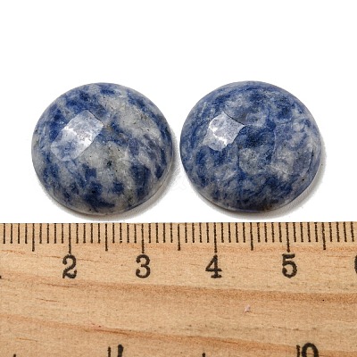 Natural Blue Spot Jasper Cabochons G-C115-02A-45-1