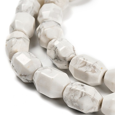 Natural Howlite Beads Strands G-F781-A03-01-1