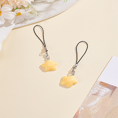 2Pcs Agate Mobile Straps HJEW-LP0001-46C-1