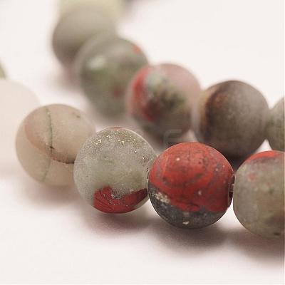 Natural African Bloodstone Beads Strands G-P295-05-10mm-1