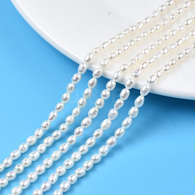 Natural Cultured Freshwater Pearl Beads Strands PEAR-N012-03F-1
