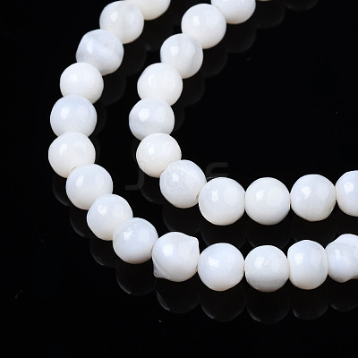 Natural Freshwater Shell Beads Strands BSHE-T009B-01A-1