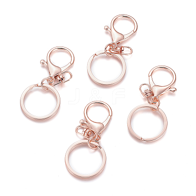Iron Alloy Lobster Claw Clasp Keychain X-KEYC-D016-RG-1