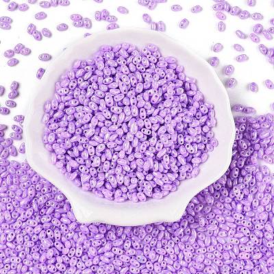 Opaque Colours Luster Glass Seed Beads SEED-T006-02D-1