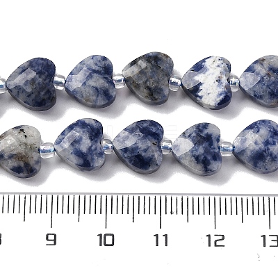 Natural Blue Spot Jasper Beads Strands G-P570-E19-01-1