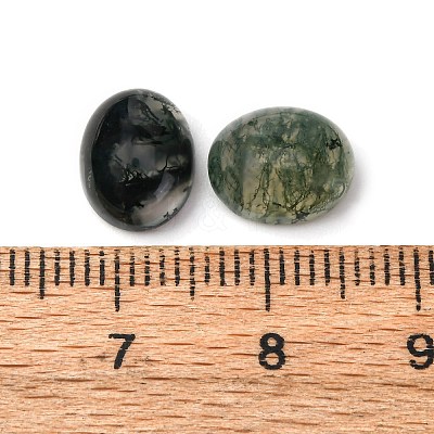 Natural Moss Agate Cabochons X-G-H314-01-1
