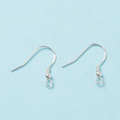 925 Sterling Silver Earring Hooks STER-G011-16-1