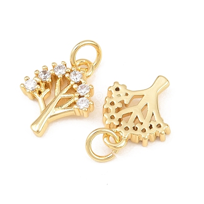 Brass Micro Pave Cubic Zirconia Charms KK-C162-036G-1